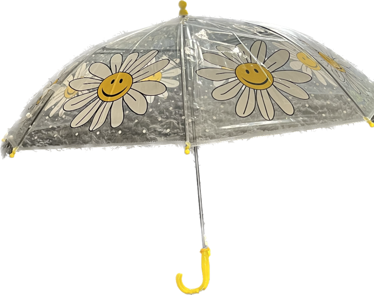 Umbrella