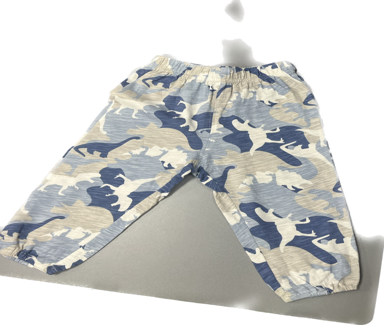 Blue Camo Dinosaur Pants